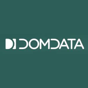 Ferryt - Digitalizacja dla firm - DomData
